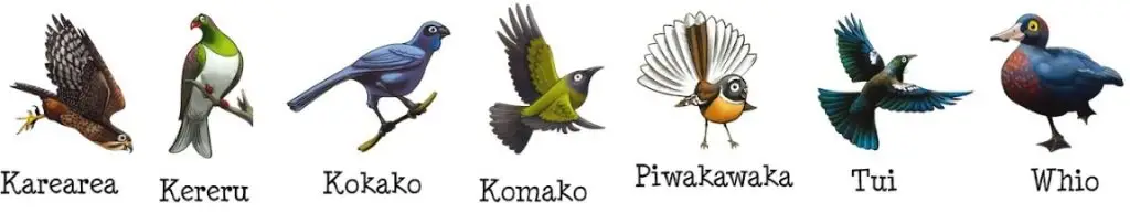 Hauroa-groups-images